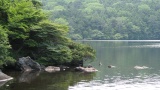 白駒池 / Shirakoma Pond