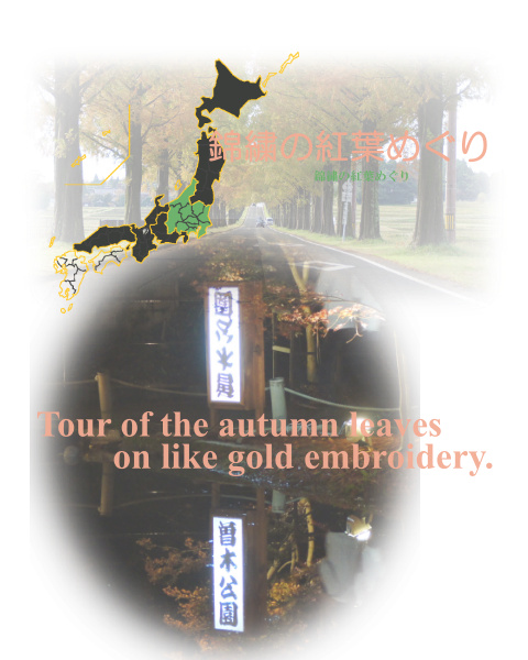 Tour of the autumn leaves on like gold embroidery / 錦繍の紅葉めぐり