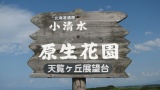 小清水「原生花園」： Koshimizu Gensei Kaen