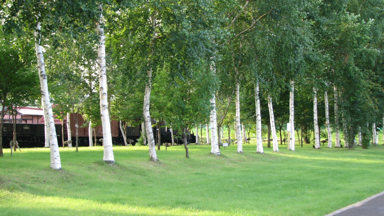 道の駅「あいおい」： MichinoEki'Aioi'