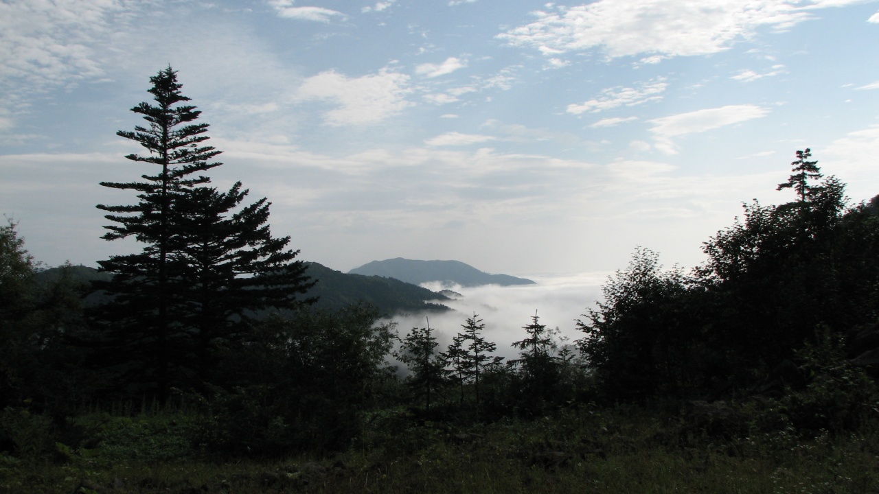 第9日目/8月16日(月)：Day 9/August 16(Mon)