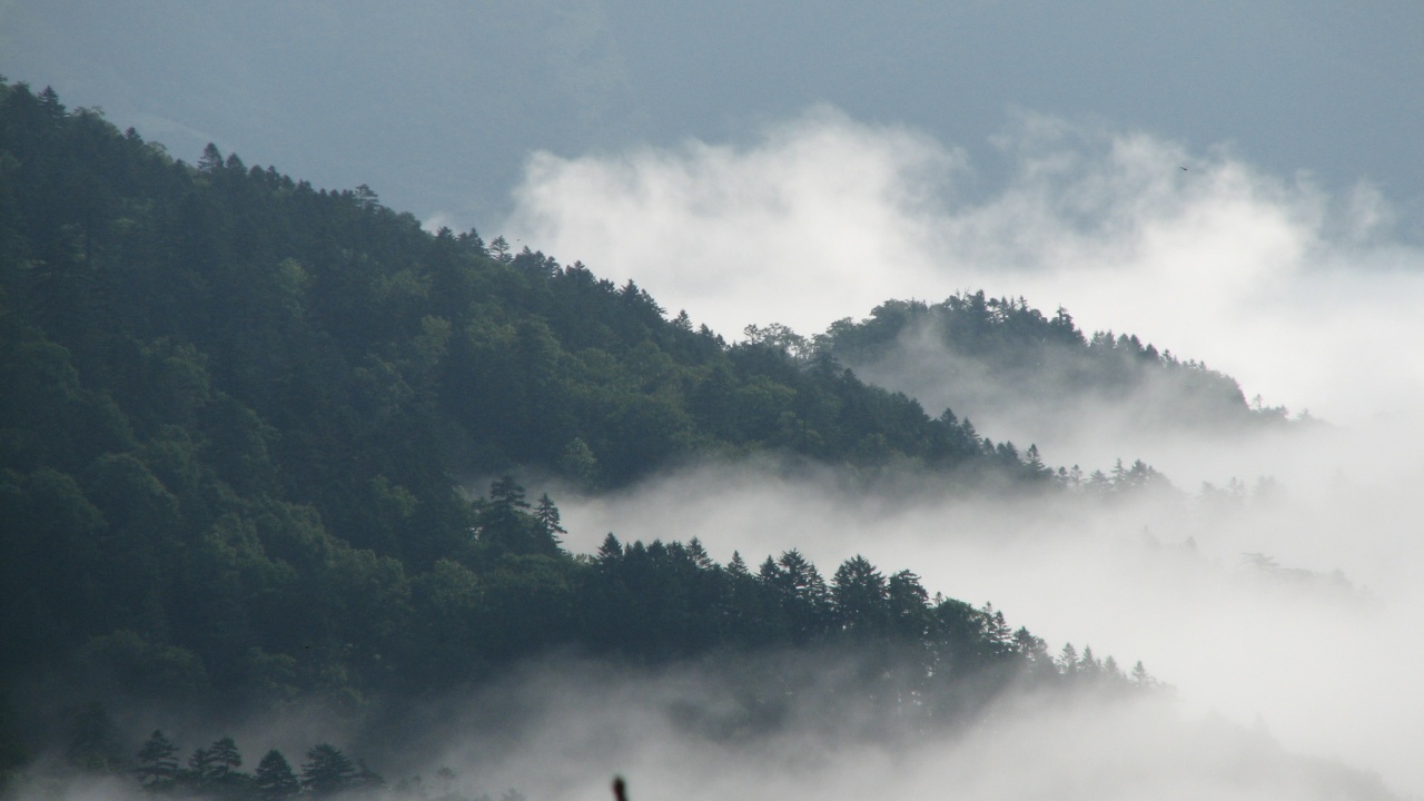 第9日目/8月16日(月)：Day 9/August 16(Mon)