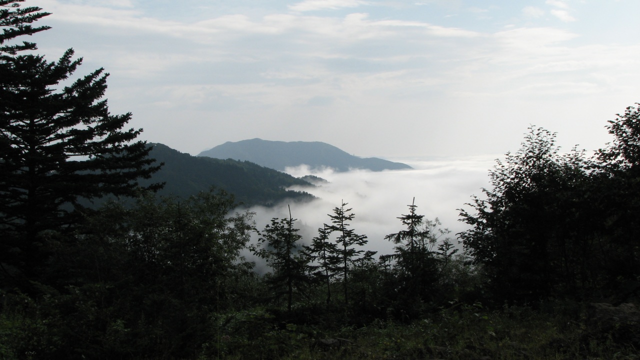 第9日目/8月16日(月)：Day 9/August 16(Mon)