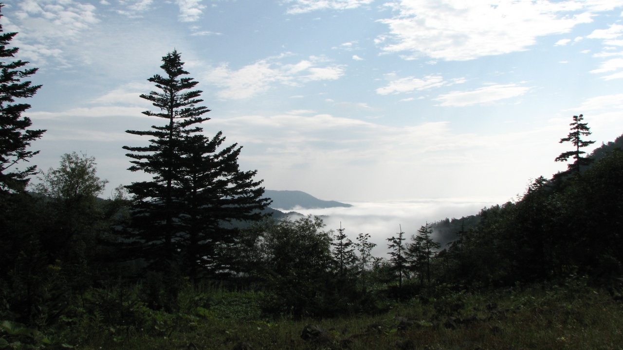 第9日目/8月16日(月)：Day 9/August 16(Mon)