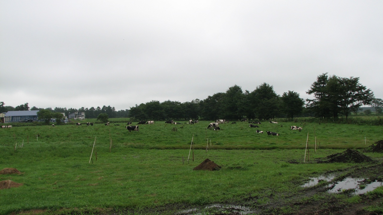 第9日目/8月16日(月)：Day 9/August 16(Mon)