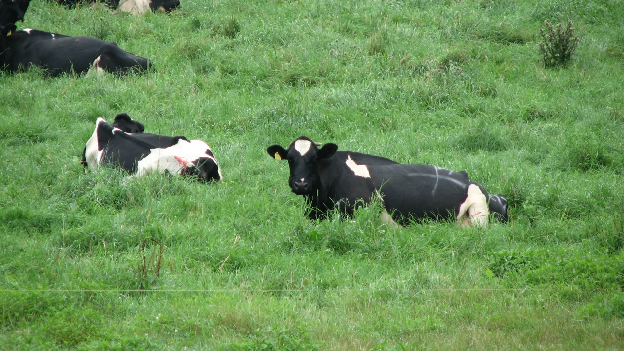 第9日目/8月16日(月)：Day 9/August 16(Mon)