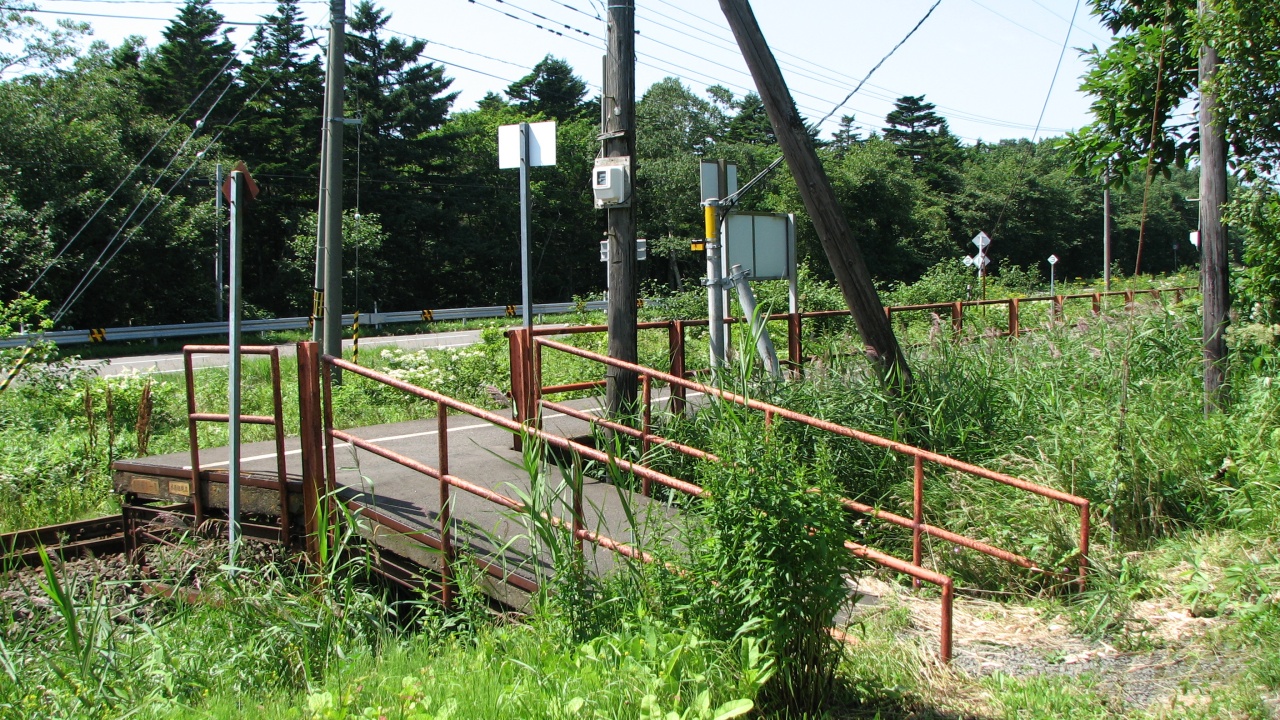 昆布盛 / Konbumori