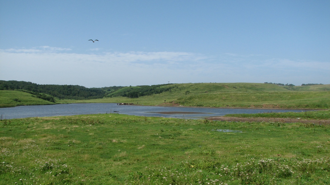 霧多布岬：Cape Kiritappu