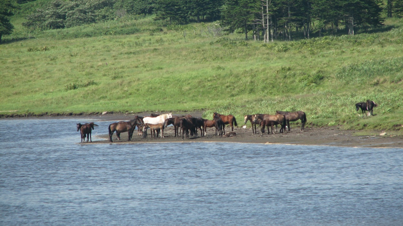 霧多布岬：Cape Kiritappu