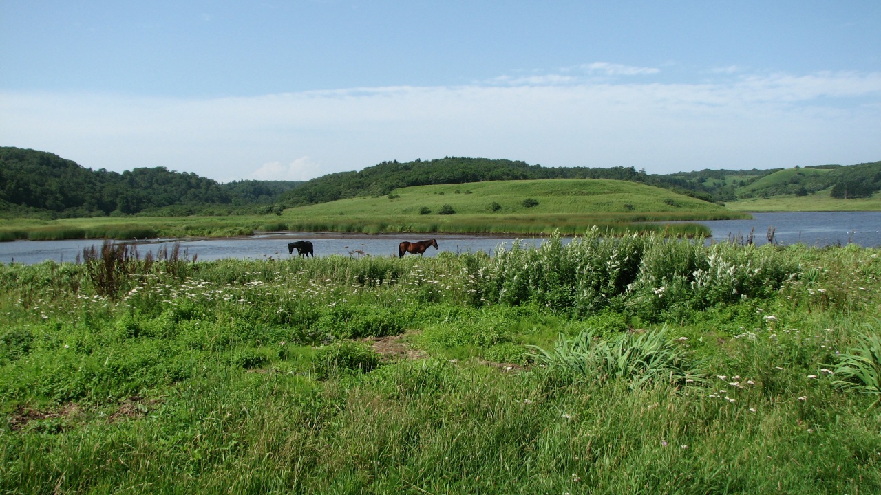 霧多布岬：Cape Kiritappu