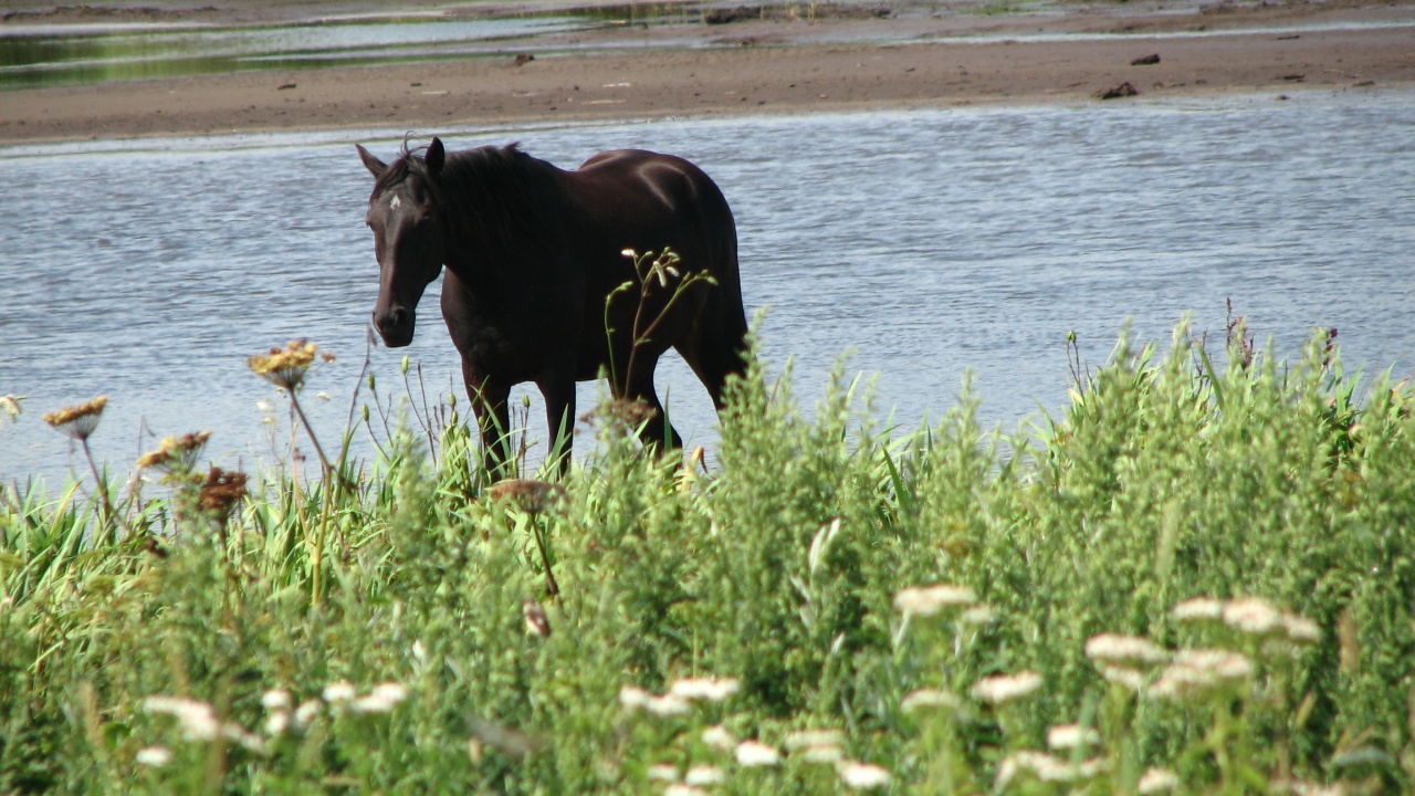 霧多布岬：Cape Kiritappu