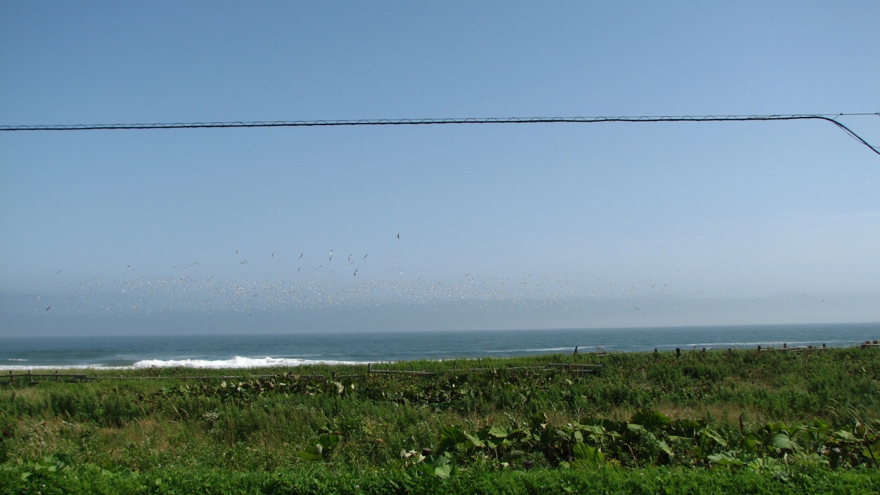 霧多布岬：Cape Kiritappu