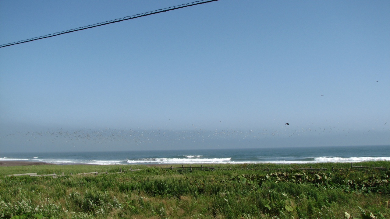 霧多布岬：Cape Kiritappu