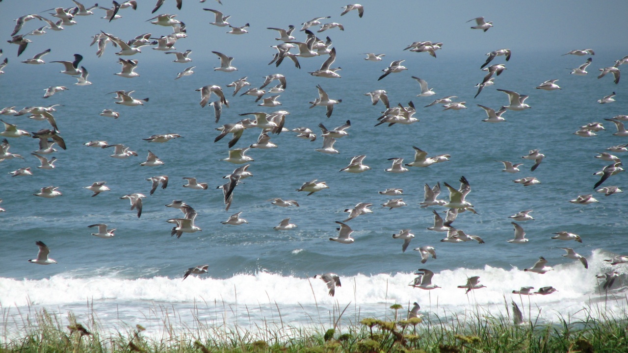 霧多布岬：Cape Kiritappu