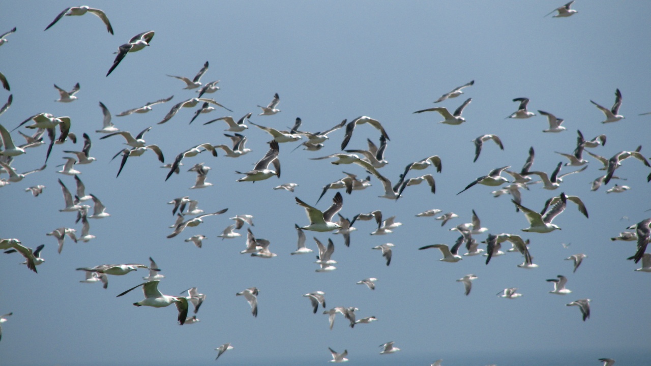 霧多布岬：Cape Kiritappu