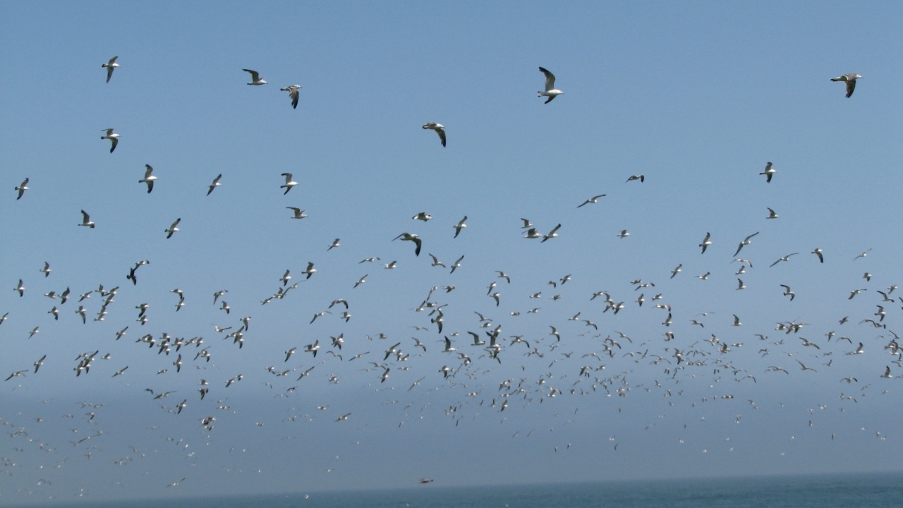 霧多布岬：Cape Kiritappu