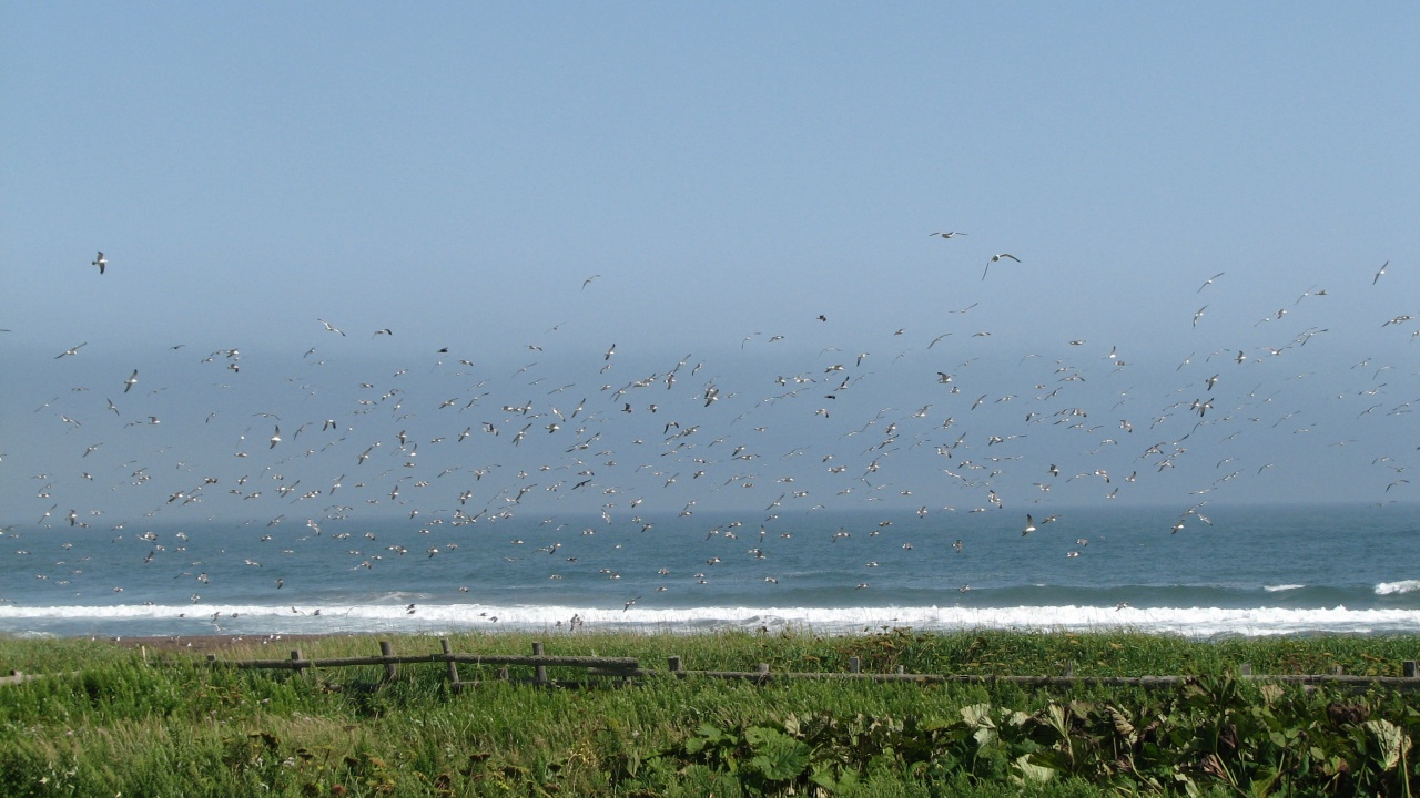 霧多布岬：Cape Kiritappu