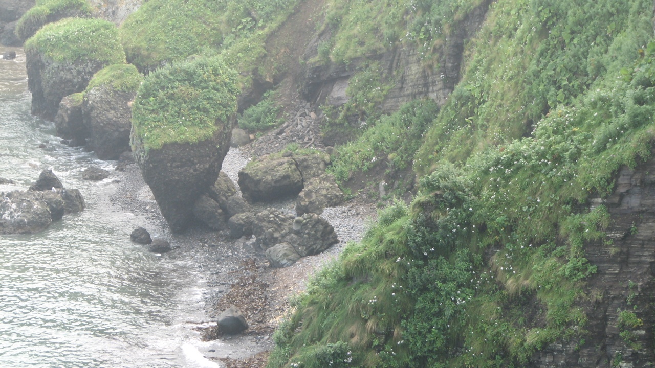 霧多布岬：Cape Kiritappu