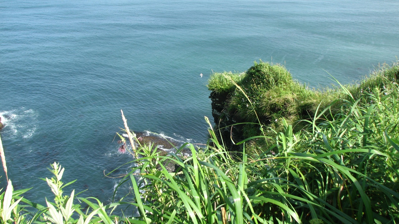 霧多布岬：Cape Kiritappu