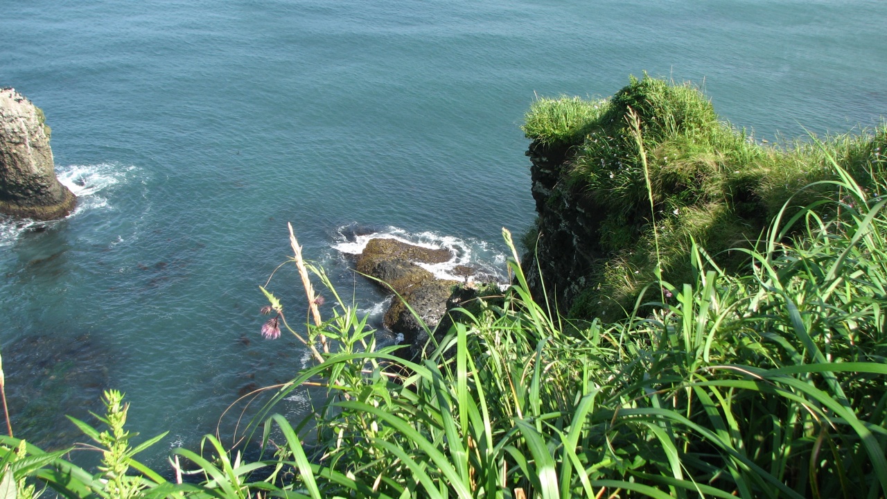 霧多布岬：Cape Kiritappu