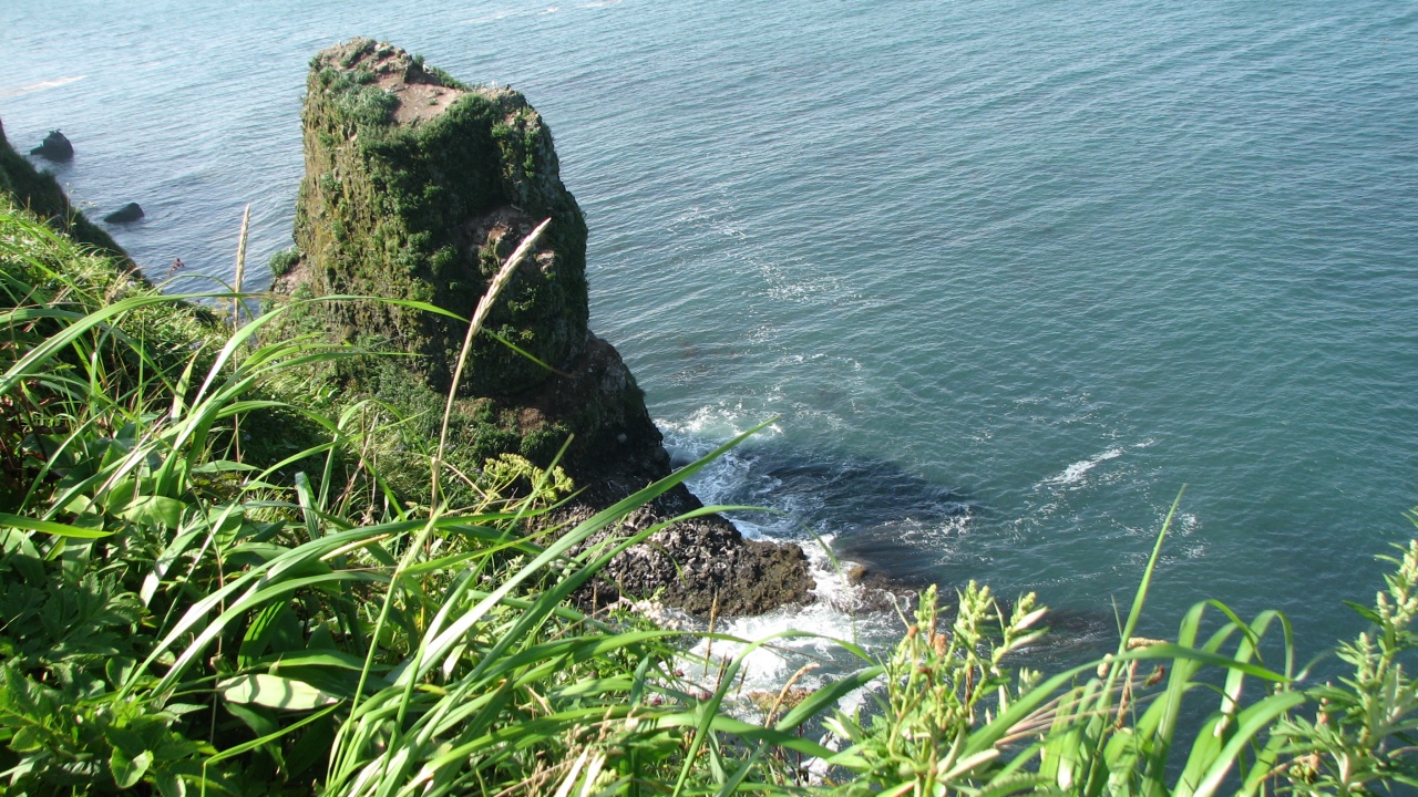 霧多布岬：Cape Kiritappu