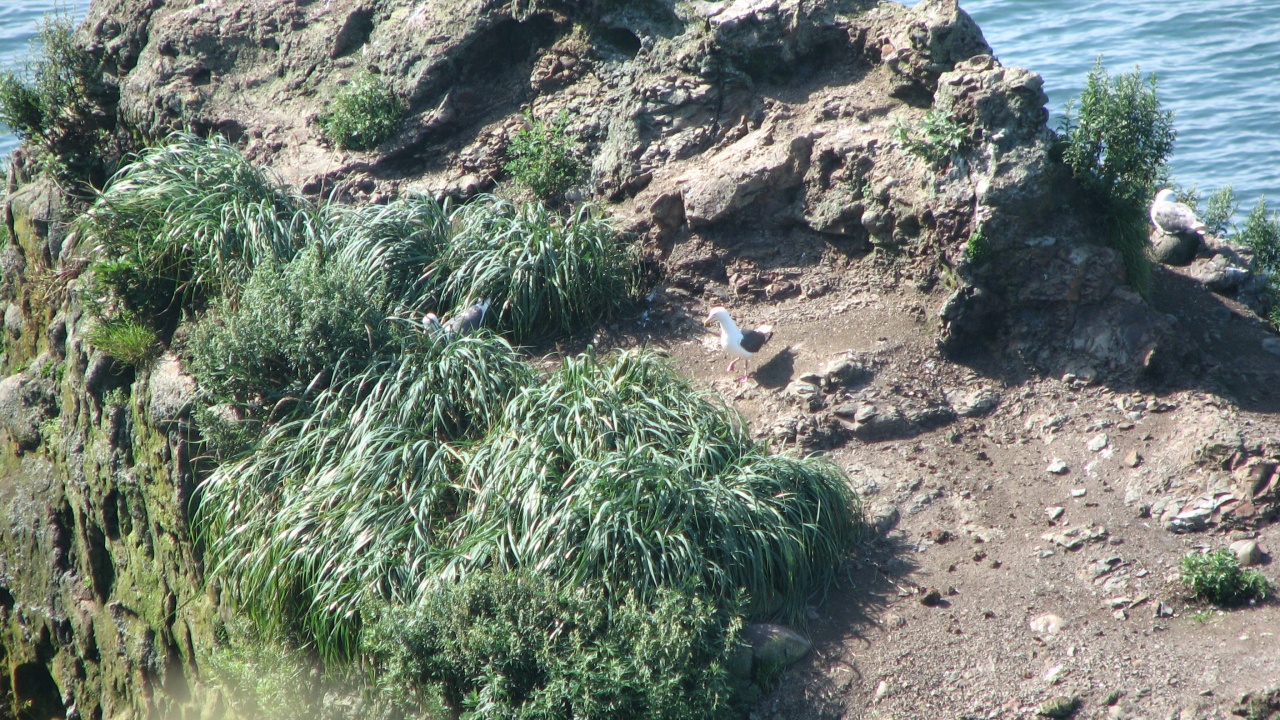 霧多布岬：Cape Kiritappu