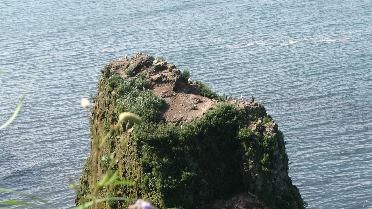 霧多布岬：Cape Kiritappu