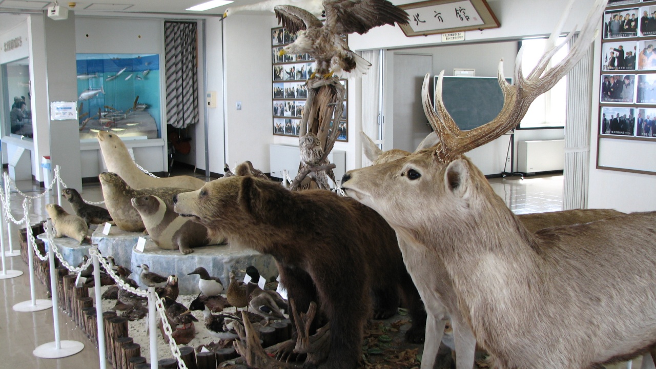 根室・納沙布岬：Nemuro・Cape Nosappu