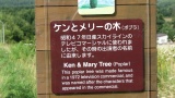 ケンとメリーの木：Ken and Mary's tree