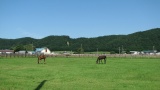 日高の牧場：Hidaka ranch