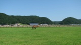 日高の牧場：Hidaka ranch