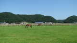 日高の牧場：Hidaka ranch