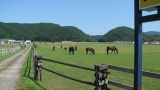 日高の牧場：Hidaka ranch