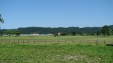 日高の牧場：Hidaka ranch