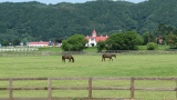 日高の牧場：Hidaka ranch