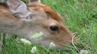 これぞ北海道。： This is Hokkaido.