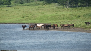 これぞ北海道。： This is Hokkaido.