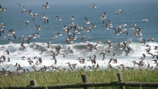 これぞ北海道。： This is Hokkaido.