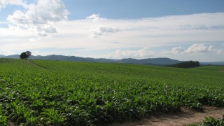 これぞ北海道。： This is Hokkaido.