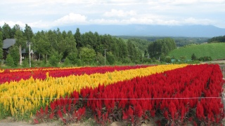 これぞ北海道。： This is Hokkaido.