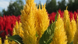 これぞ北海道。： This is Hokkaido.