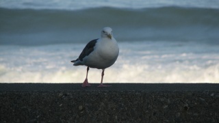 これぞ北海道。： This is Hokkaido.