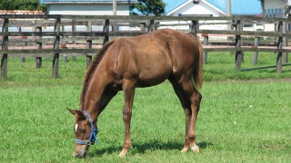 これぞ北海道。： This is Hokkaido.