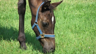 これぞ北海道。： This is Hokkaido.