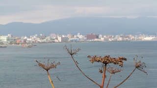 これぞ北海道。： This is Hokkaido.