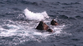 これぞ北海道。： This is Hokkaido.