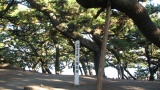 三保の松原：Miho no Matsubara