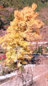 久遠寺'身延山'：Kuonji Temple 'Mt. Minobu'