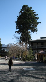 久遠寺'身延山'：Kuonji Temple 'Mt. Minobu'
