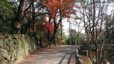 岡崎城公園／Okazaki Castle Park